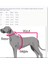 Sirius Köpek Kazağı 5