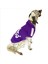 Adidog Purple Hoodie Kapşonlu Sweatshirt Orta ve Büyük Irklar Için 3