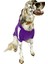 Adidog Purple Hoodie Kapşonlu Sweatshirt Orta ve Büyük Irklar Için 4