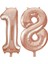 18.yaş Folyo Balon Seti Rose Gold 40 cm 1
