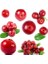 10 Adet Tohum Cranberry Tohumu Yaban Mersini Tohumu Turna Yemişi Tohumu + Toprak Saksı 2