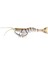 Tpe Manic Shrimp 10CM 8gr Silikon Karides Yem 1