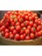 20 Adet Kiraz Domates Tohumu Misket Domates Tohumu 3