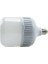 LED Ampül 40W Torch Beyaz Işık 1