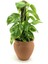 Naturel Toprak Saksı 13X12-Topan 5