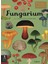 Welcome To The Museum Fungarium - Katie Scott 1