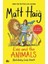 Eve and the Animals - Matt Haig 1