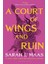 A Court of Wings and Ruin - Sarah J. Maas 1