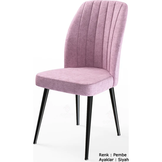 Canisa Concept Platinum Serisi Geniş Oturum Alanlı 1.sınıf 4 Adet Sandalye Ayaklar Siyah