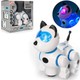 Canem Can-Em Oyuncak Robot Köpek