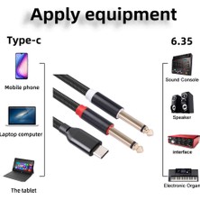 Internet USB C - Çift 6.35MM Ses Stereo Kablo Tip C - Akıllı Telefon Multimedya Hoparlörleri Için Çift 6.35MM Ses Kablosu, 10FT/3 Metre (Yurt Dışından)