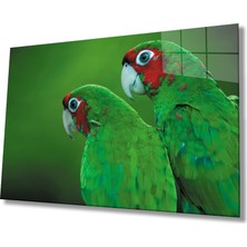 Yeşil Papağan Cam Tablomiyrem Green Parrot  110X70-MIYREM