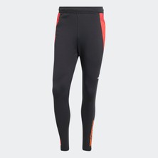 Adidas IP1879 TIRO24 C Tr Pnt