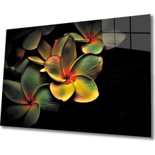 Miyrem Renkli Çiçek Cam Tablo 36 x 23-Mıyrem