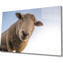 Miyrem Koyun Cam Tablo 36 x 23-Mıyrem