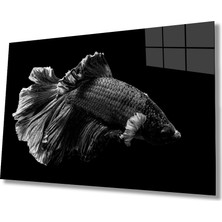 Miyrem Balık Hayvan Cam Tablo 36 x 23-Mıyrem