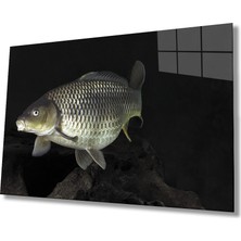 Miyrem Balık Hayvan  Cam Tablo 36 x 23-Mıyrem