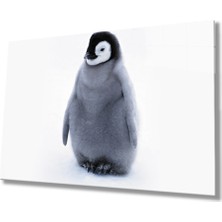 Penguen Cam Tablomiyrempenguin Table  36X23-MIYREM