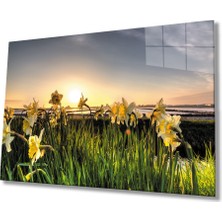 Gün Batımında Sarı Çiçekler Cam Tablo 36X23-MIYREM