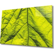 Yeşil Yaprak Cam Tablomiyremgreen Leaf  36X23-MIYREM