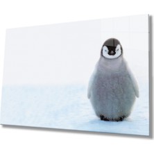Penguen Cam Tablomiyrempenguin Table  36X23-MIYREM