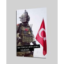 Türk Askeri ve Bayrak Cam TABLOMIYREM36X23-MIYREM