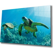Deniz Kaplumbağası Cam Tablo Sea Turtle  36X23-MIYREM