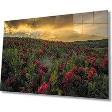 Gün Batımında Dağ Kırmızı Çiçekler 36X23-MIYREM