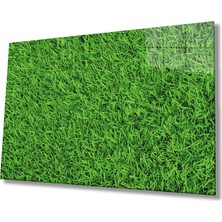 Yeşil Çimen Cam Tablomiyremgreen Grass 36X23-MIYREM