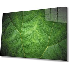 Yeşil Yaprak Cam Tablomiyrem Green Eaf 36X23-MIYREM