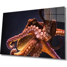 Ahtapot Sualtı Canlıları Cam Tablo 	OCTOPUSMIYREM36X23-MIYREM