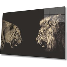 Aslan Cam TABLOMIYREM36X23-MIYREM