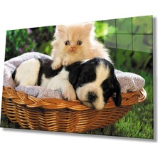 Kedi Köpek Cam TABLOMIYREM36X23-MIYREM