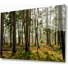 Doğa Cam TABLOMIYREM36X23-MIYREM