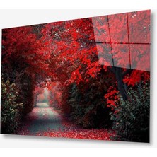 Doğa Cam TABLOMIYREM36X23-MIYREM