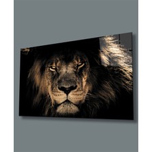 Aslan Cam TABLOMIYREM36X23-MIYREM