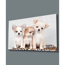 Köpekler 36X23-MIYREM