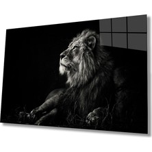 Aslan Cam TABLOMIYREM36X23-MIYREM