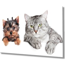 Kedi ve Köpek Cam TABLOMIYREM36X23-MIYREM