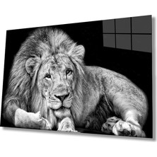 Aslan Cam TABLOMIYREM36X23-MIYREM