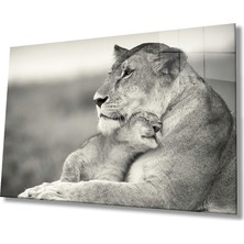 Aslan Cam TABLOMIYREM36X23-MIYREM