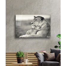 Aslan Cam TABLOMIYREM36X23-MIYREM