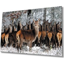 Kızıl Geyik Hayvan Cam TABLOMIYREM36X23-MIYREM