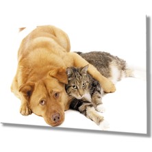 Kedi Köpek Cam TABLOMIYREM36X23-MIYREM