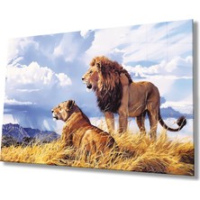 Aslan Cam TABLOMIYREM36X23-MIYREM