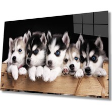 Mavi Gözlü Köpekler Cam TABLOMIYREM36X23-MIYREM
