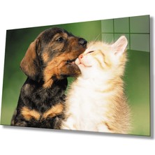 Kedi ve  Köpek Cam TABLOMIYREM36X23-MIYREM