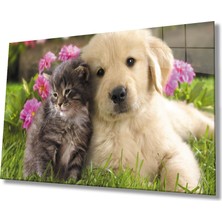 Kedi ve Köpek Cam TABLOMIYREM36X23-MIYREM