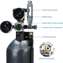 Longbangdian Shop Kabarcık Ölçer Stili Hiçbiri Nıcrew Balık Tankı Co2 Regülatörü Manyetik Solenoid Çek Valf Co2 Kontrol Basıncı Düşürücü Akvaryum Kabarcık Sayacı Aksesuarları (Yurt Dışından)