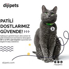 Diji Pets Akıllı Kedi Tasması - Nfc ve Qr Kod Destekli - Patili Dostlarımız Için Dijital Pet Kimlik Kartı